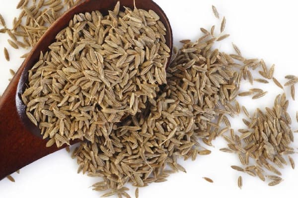 تصویر 2 از خرید زیره سبز طب سنتی + قیمت فروش استثنایی